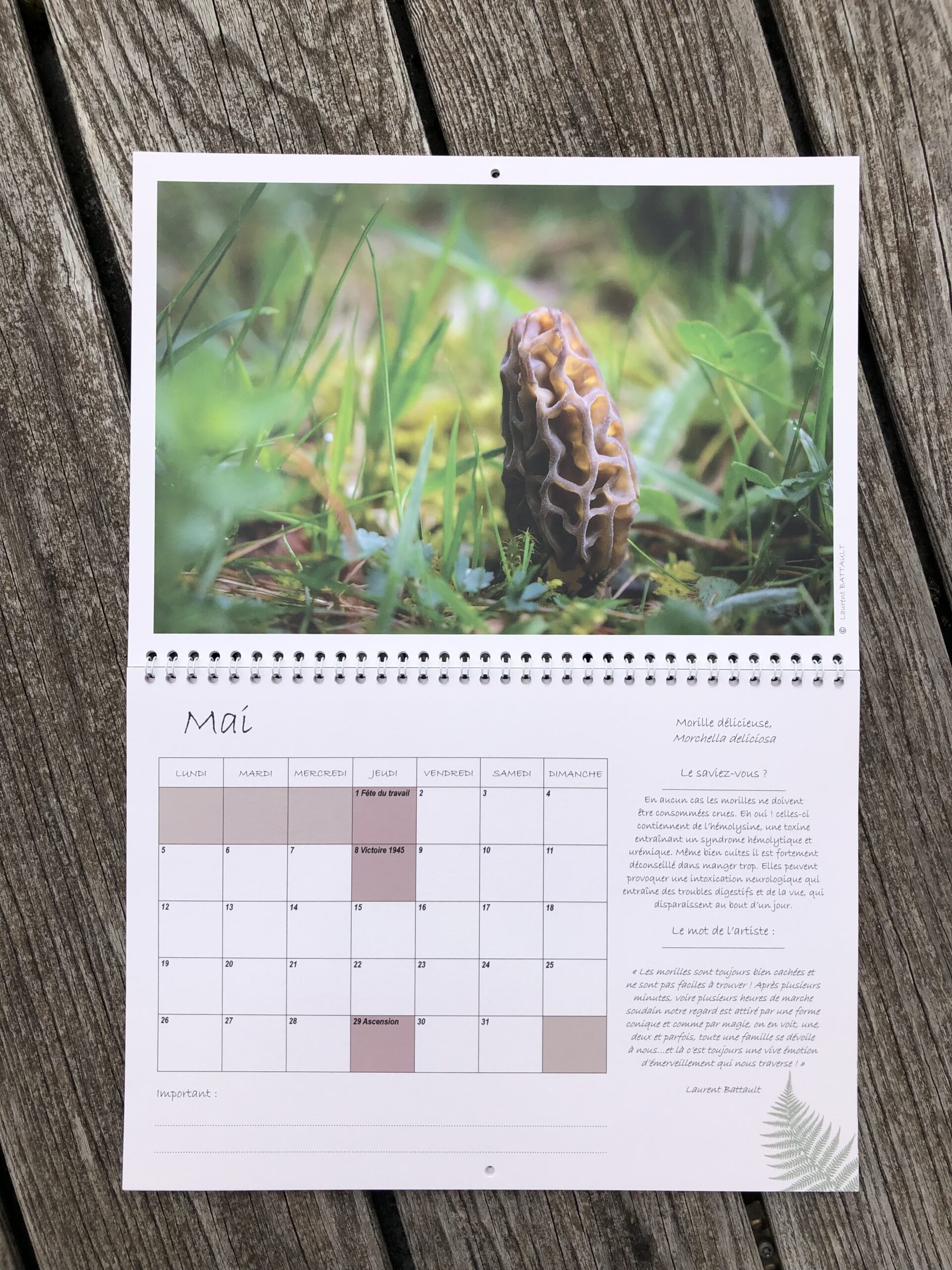 Calendrier 2025 – Forêts d’altitude du massif jurassien – Image 2