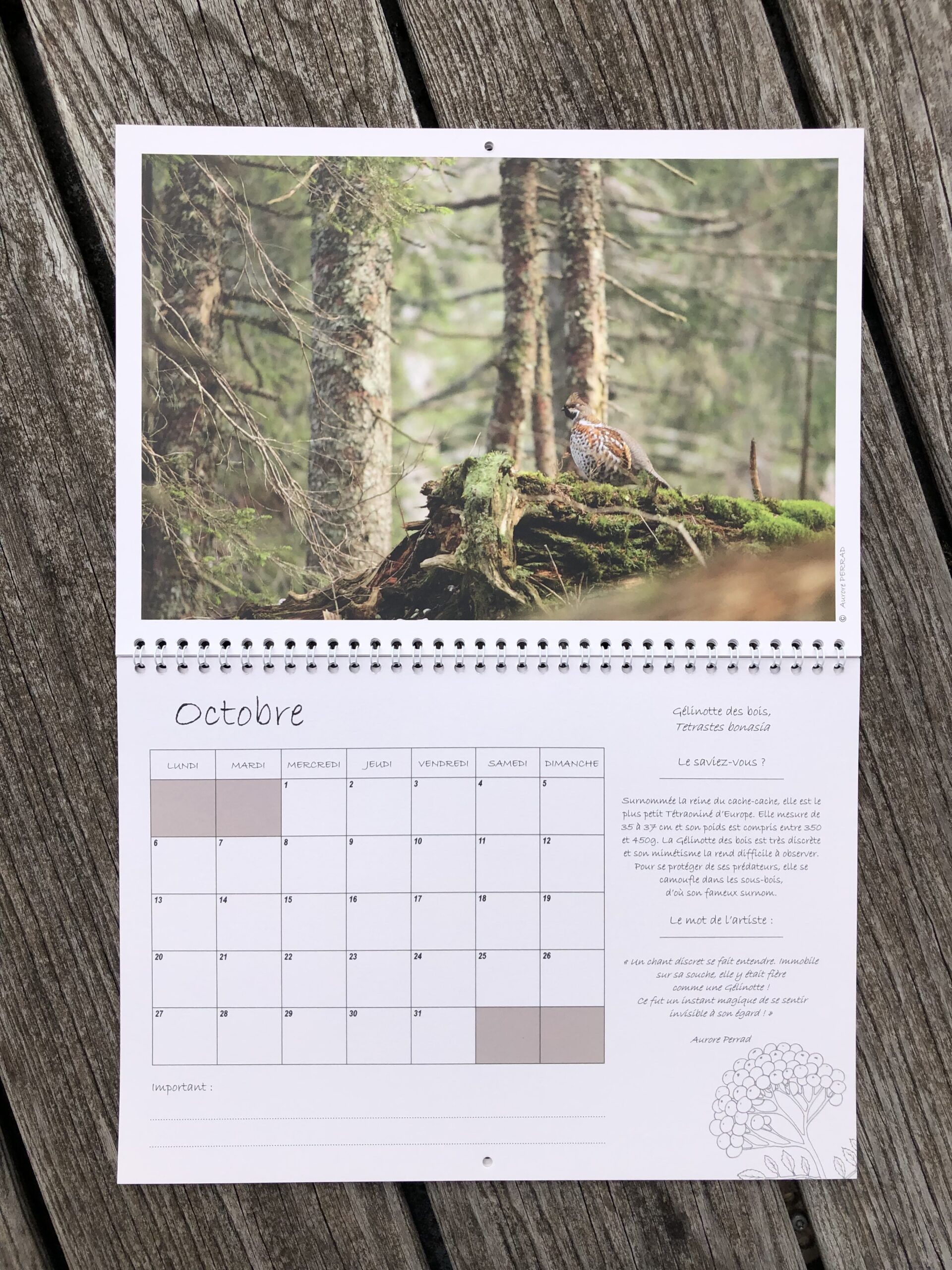 Calendrier 2025 – Forêts d’altitude du massif jurassien – Image 3