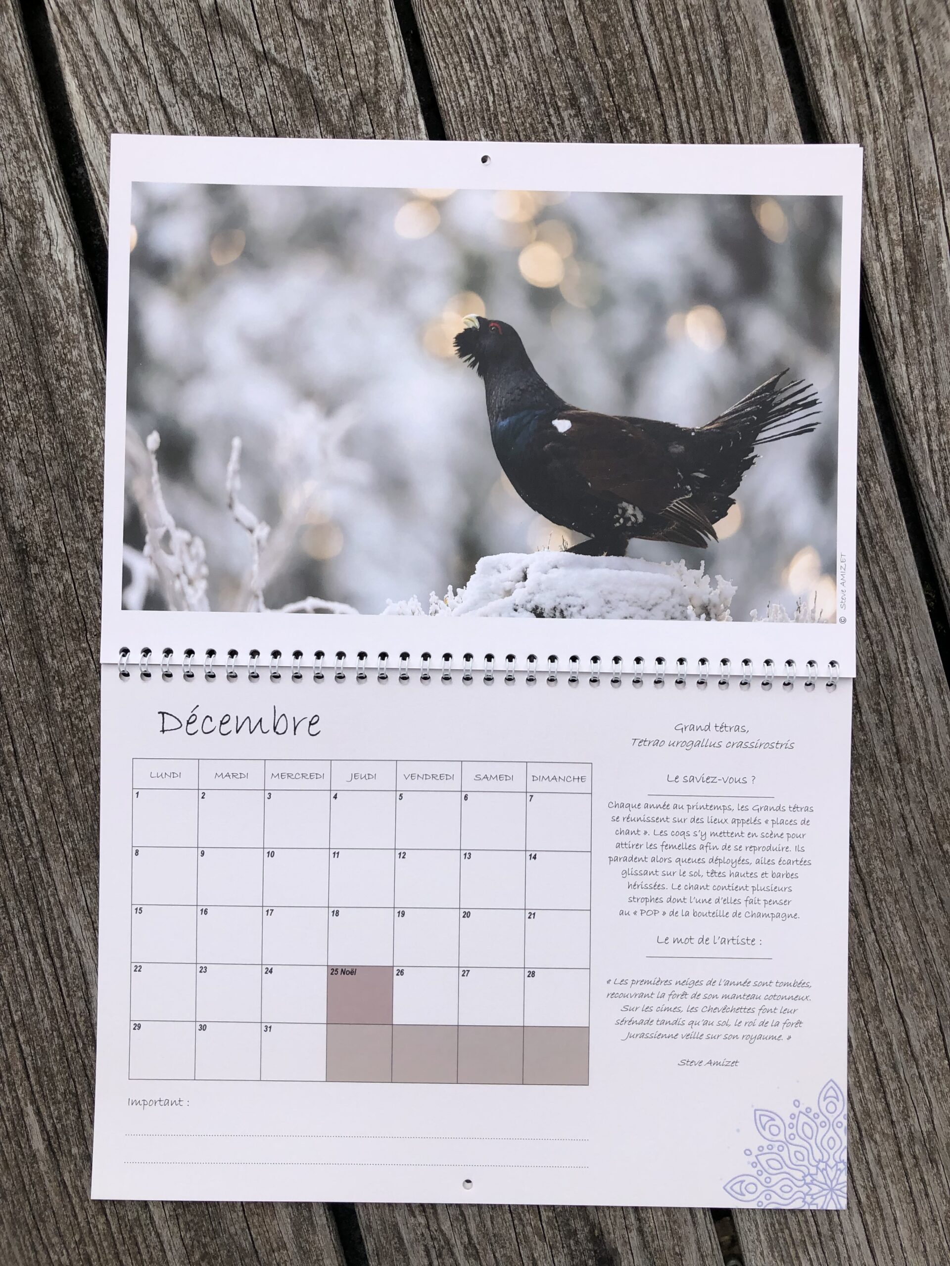 Calendrier 2025 – Forêts d’altitude du massif jurassien – Image 4