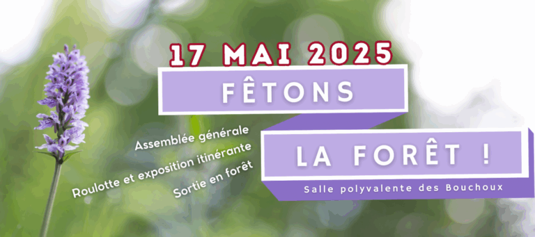 Lire la suite à propos de l’article Fêtons la forêt le 17 mai