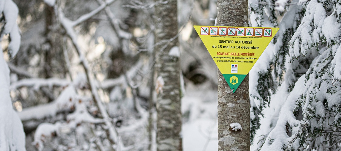 You are currently viewing Planifier sa sortie sur les zones protégées du massif du Jura