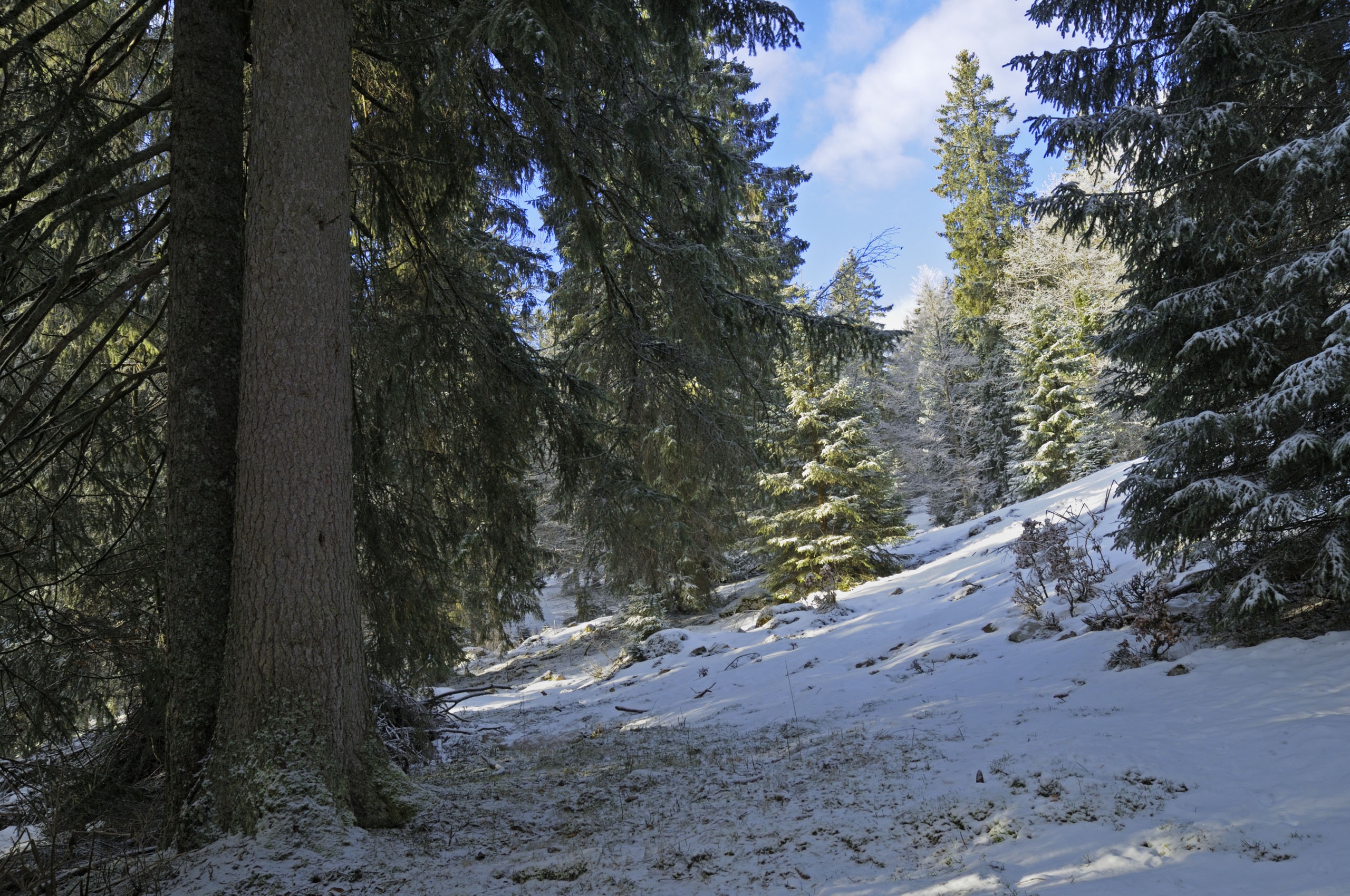 You are currently viewing Projet associatif 2023-2028