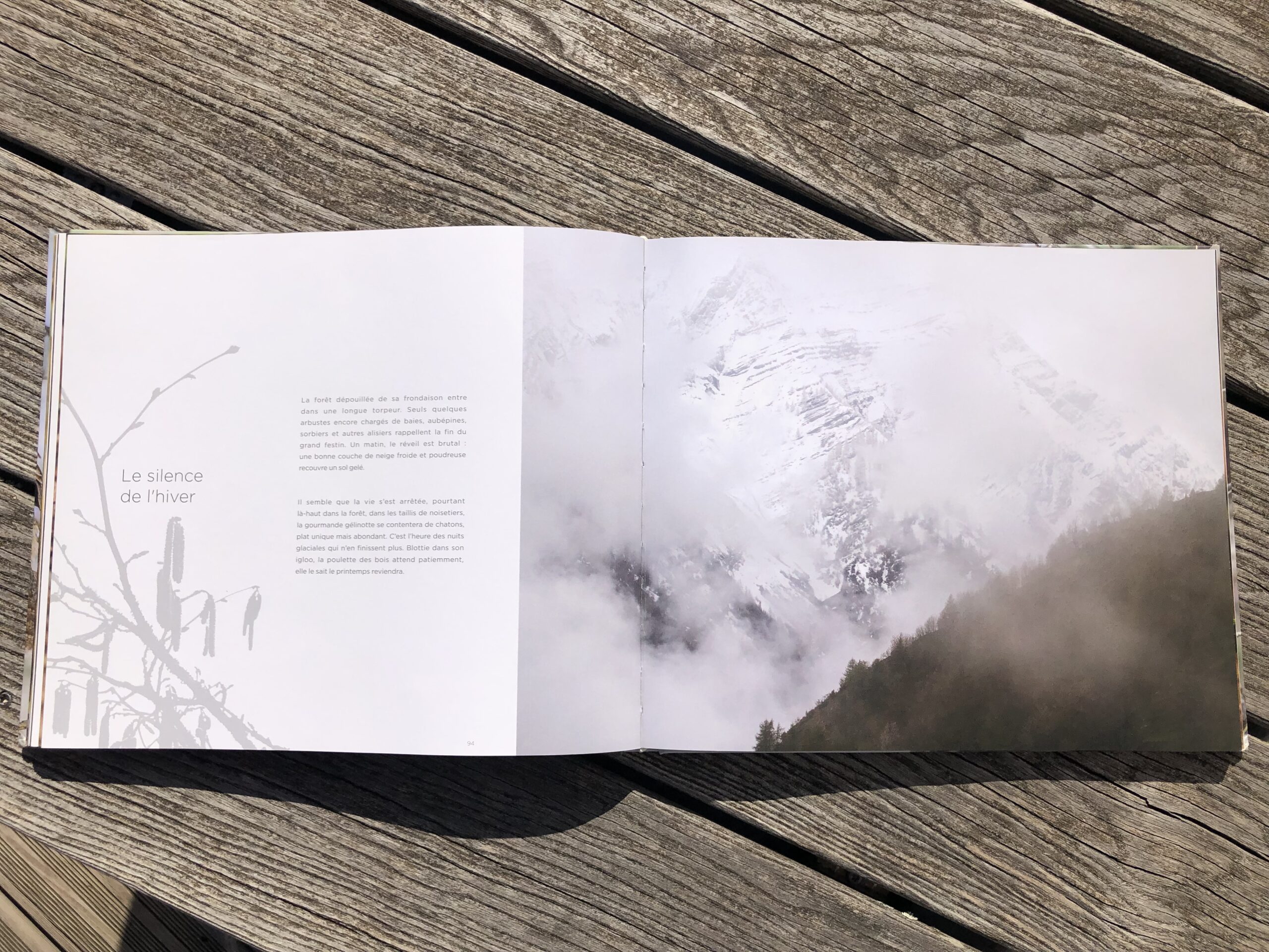 La quête de la gélinotte des bois – Image 3