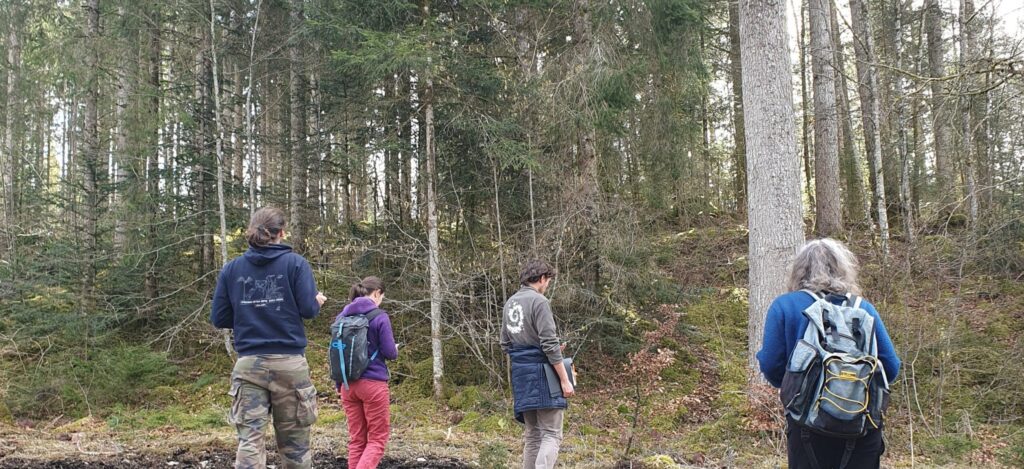 À la recherche des crottes de gélinottes !