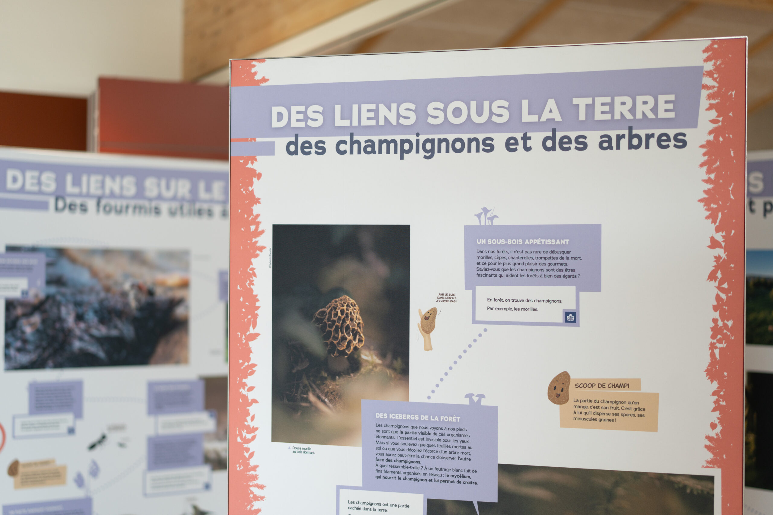 You are currently viewing Cap sur 2026 pour l’exposition itinérante