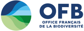 logo-ofb-sized